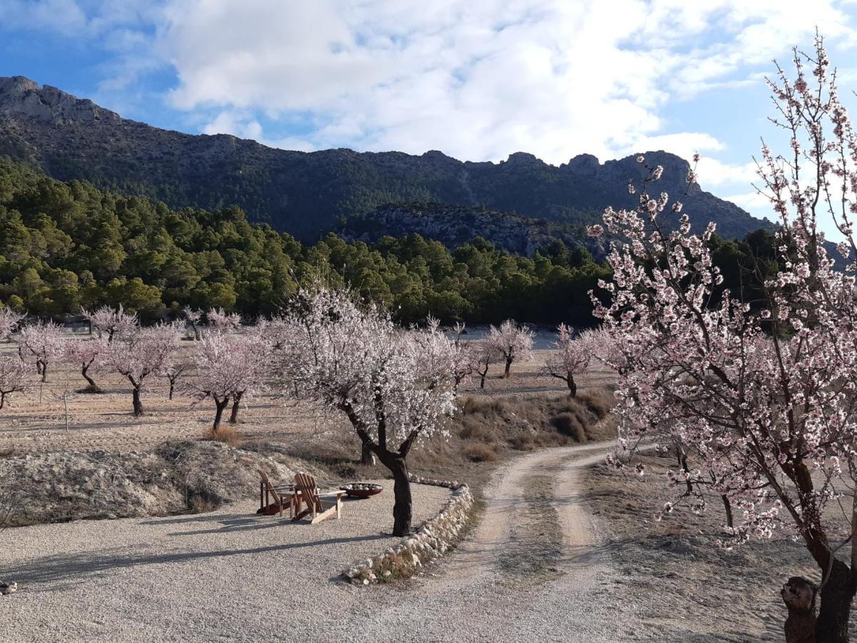 Cortijo Blanco Lejlighed Vélez Blanco Eksteriør billede