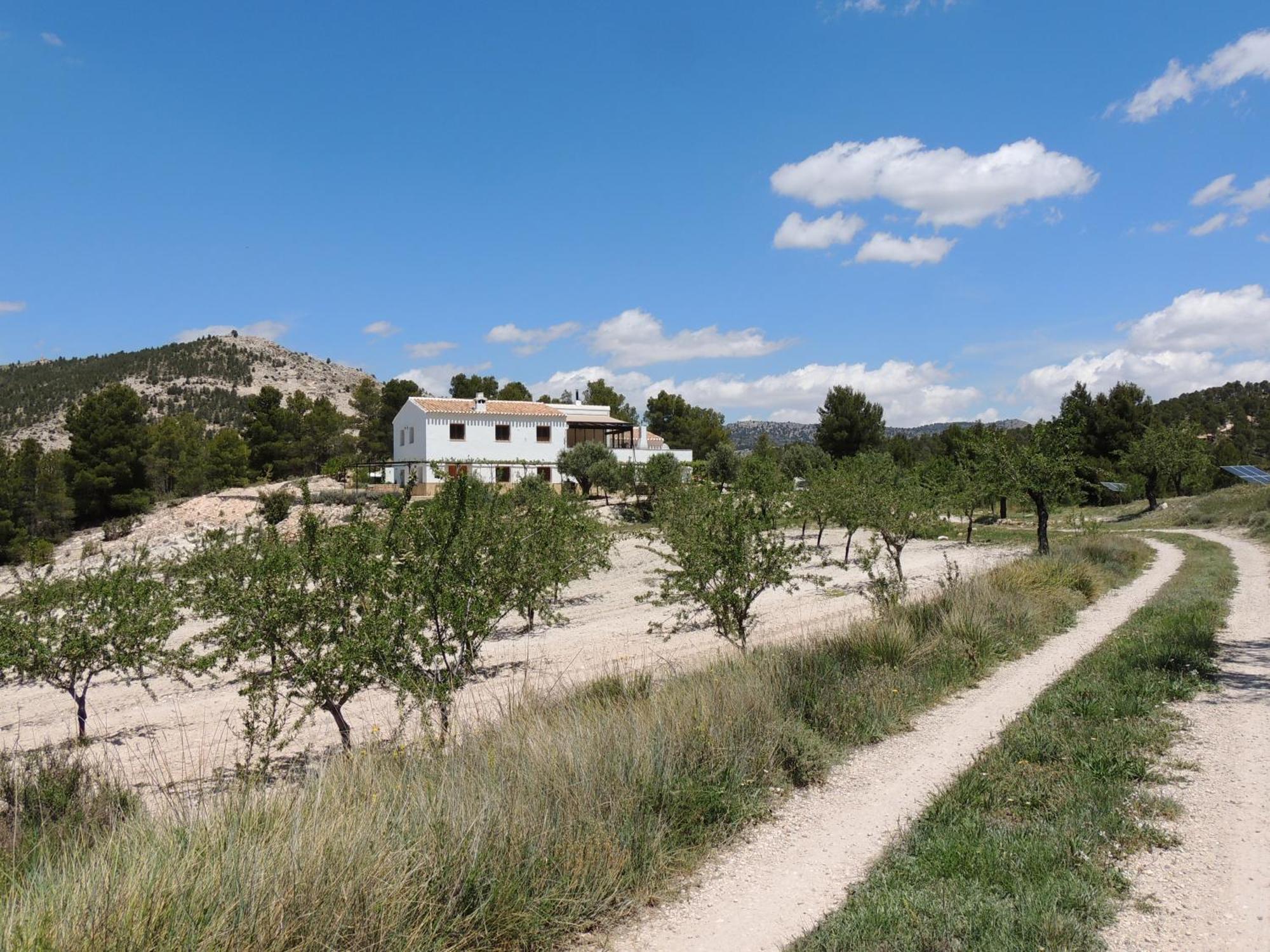 Cortijo Blanco Lejlighed Vélez Blanco Eksteriør billede