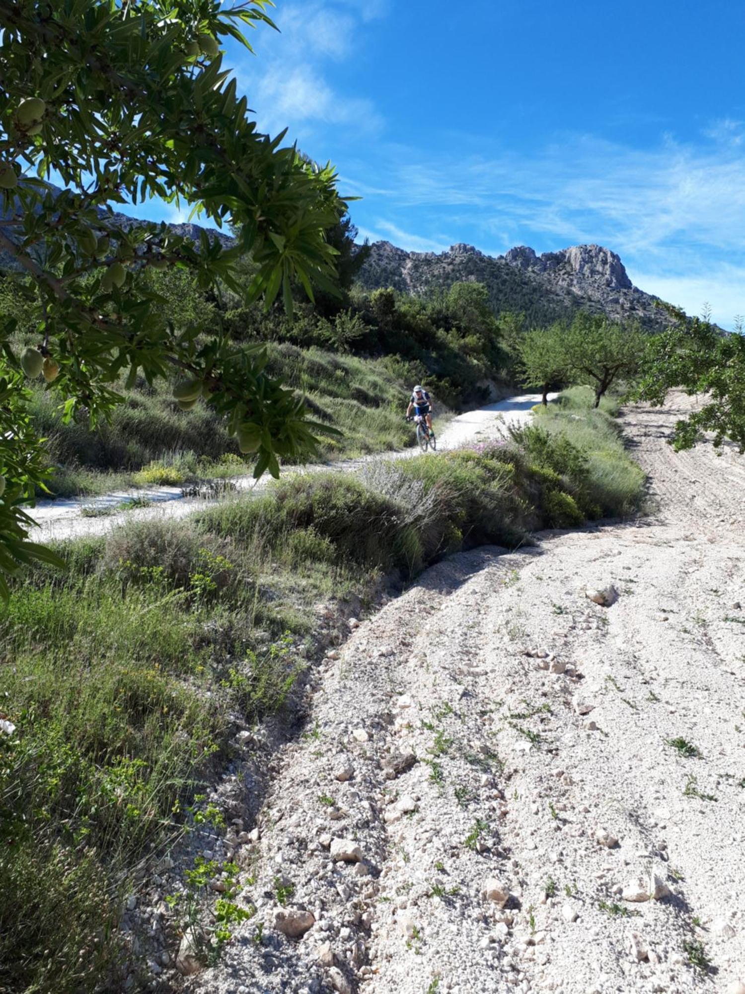 Cortijo Blanco Lejlighed Vélez Blanco Eksteriør billede
