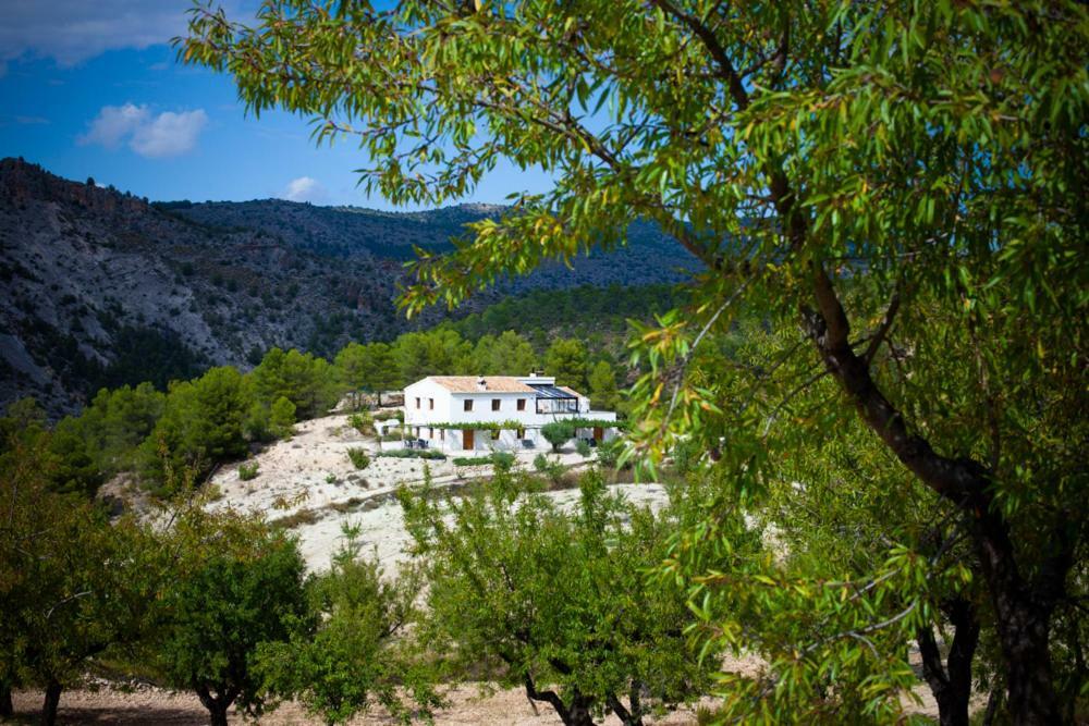 Cortijo Blanco Lejlighed Vélez Blanco Eksteriør billede
