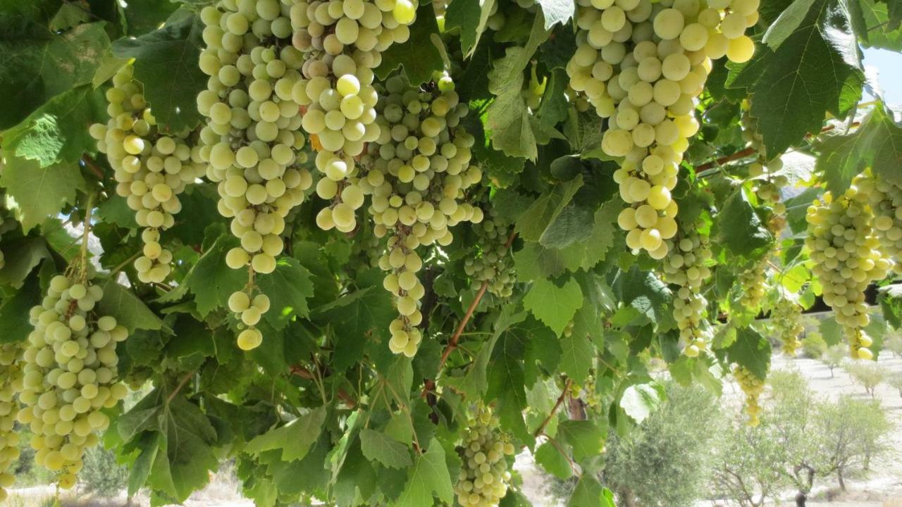 Cortijo Blanco Lejlighed Vélez Blanco Eksteriør billede